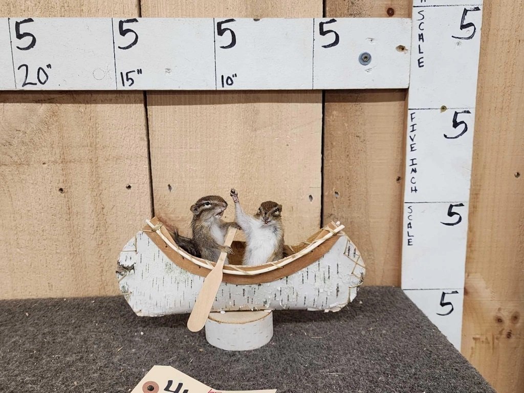 2 Chipmunks In A Birch Bark Canoe: 41.22 Having a good time on the river New mount