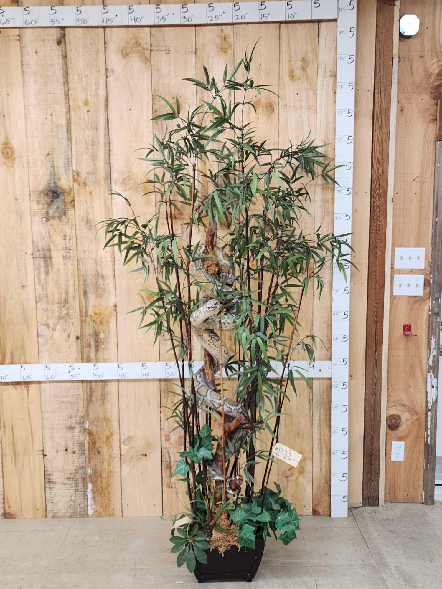 Python Full Body Snake Taxidermy Mount Auction