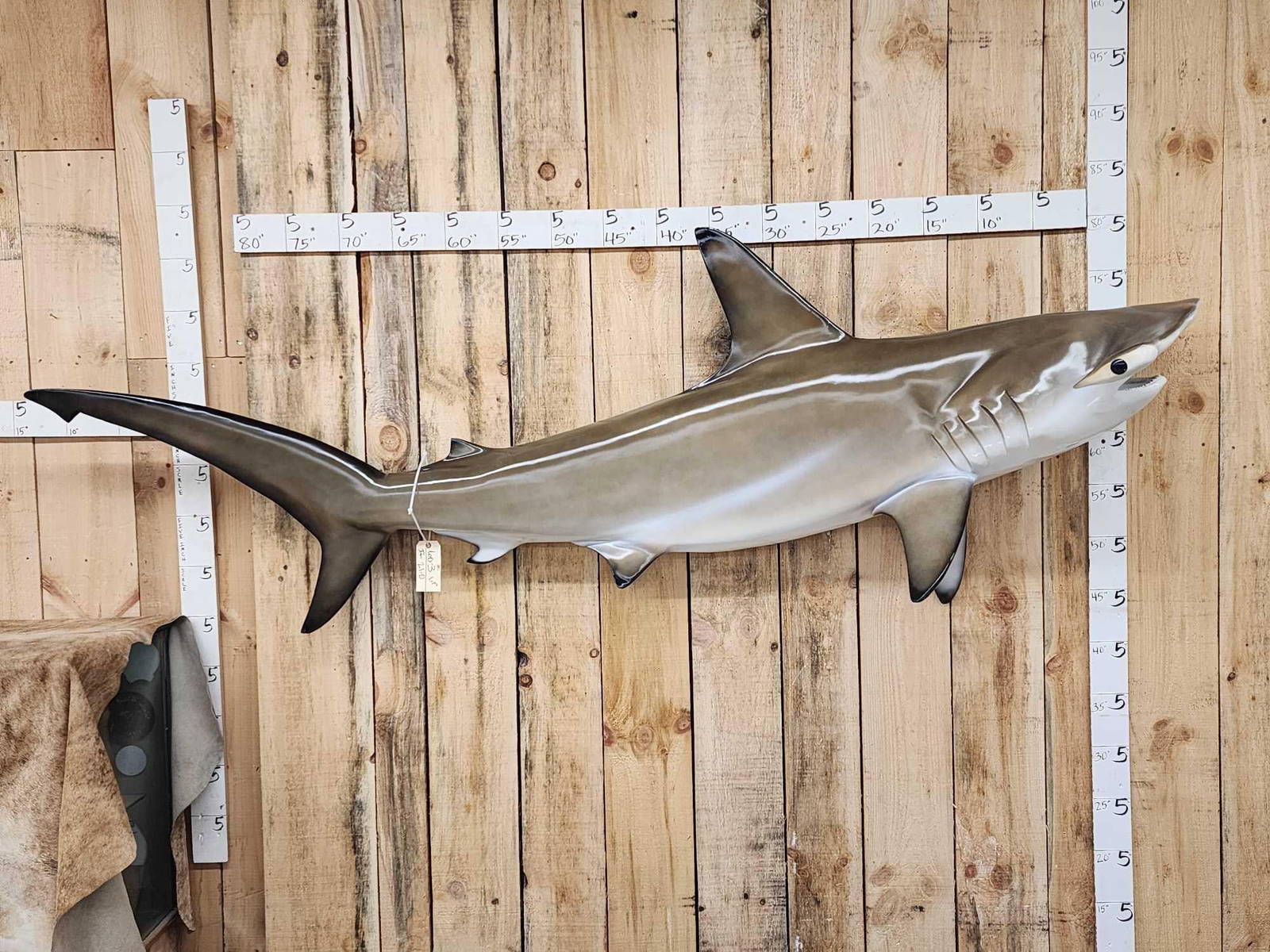Reproduction Hammerhead Shark Taxidermy Auction
