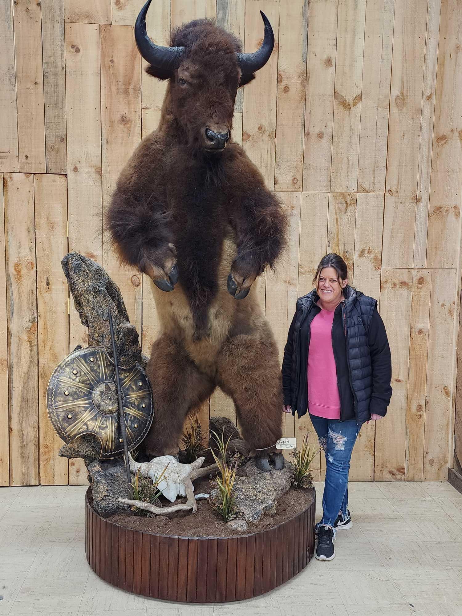 Spectacular Minotaur Full Body Taxidermy Mount (1 of 10)