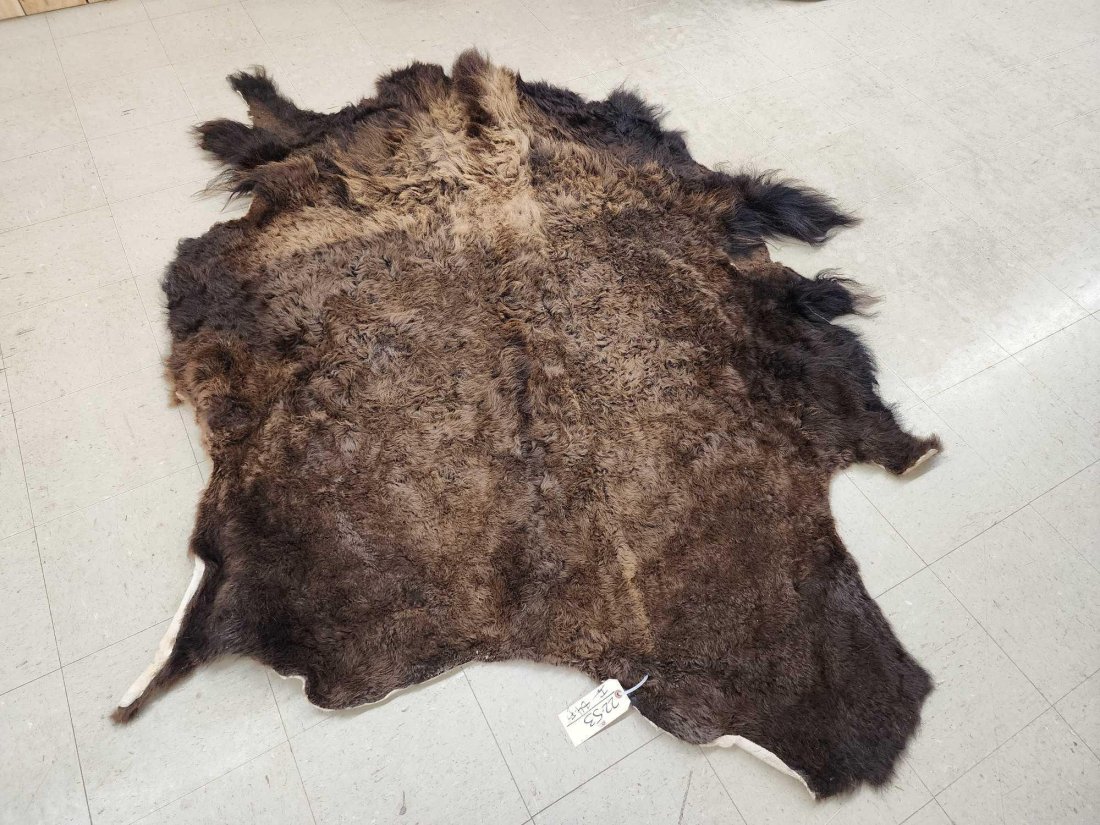 American Bison Buffalo Soft Tanned Robe Taxidermy (1 of 3)