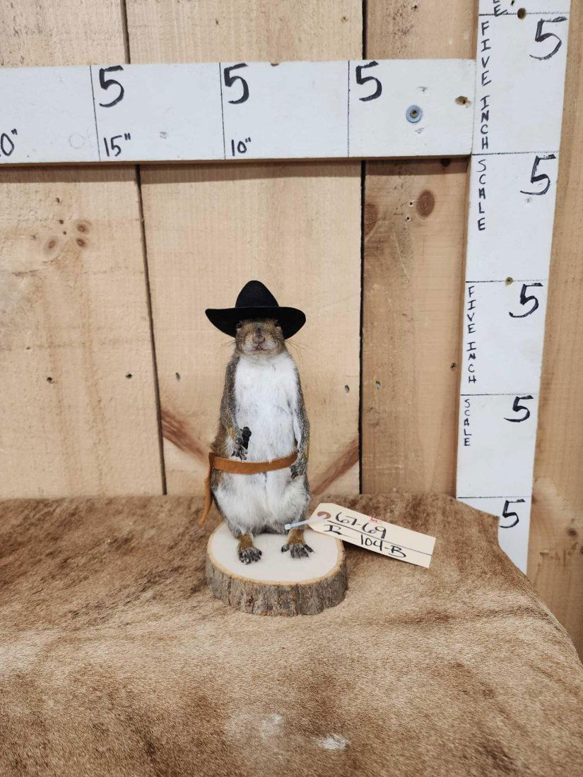 Sheriff Squirrel Taxidermy (1 of 5)