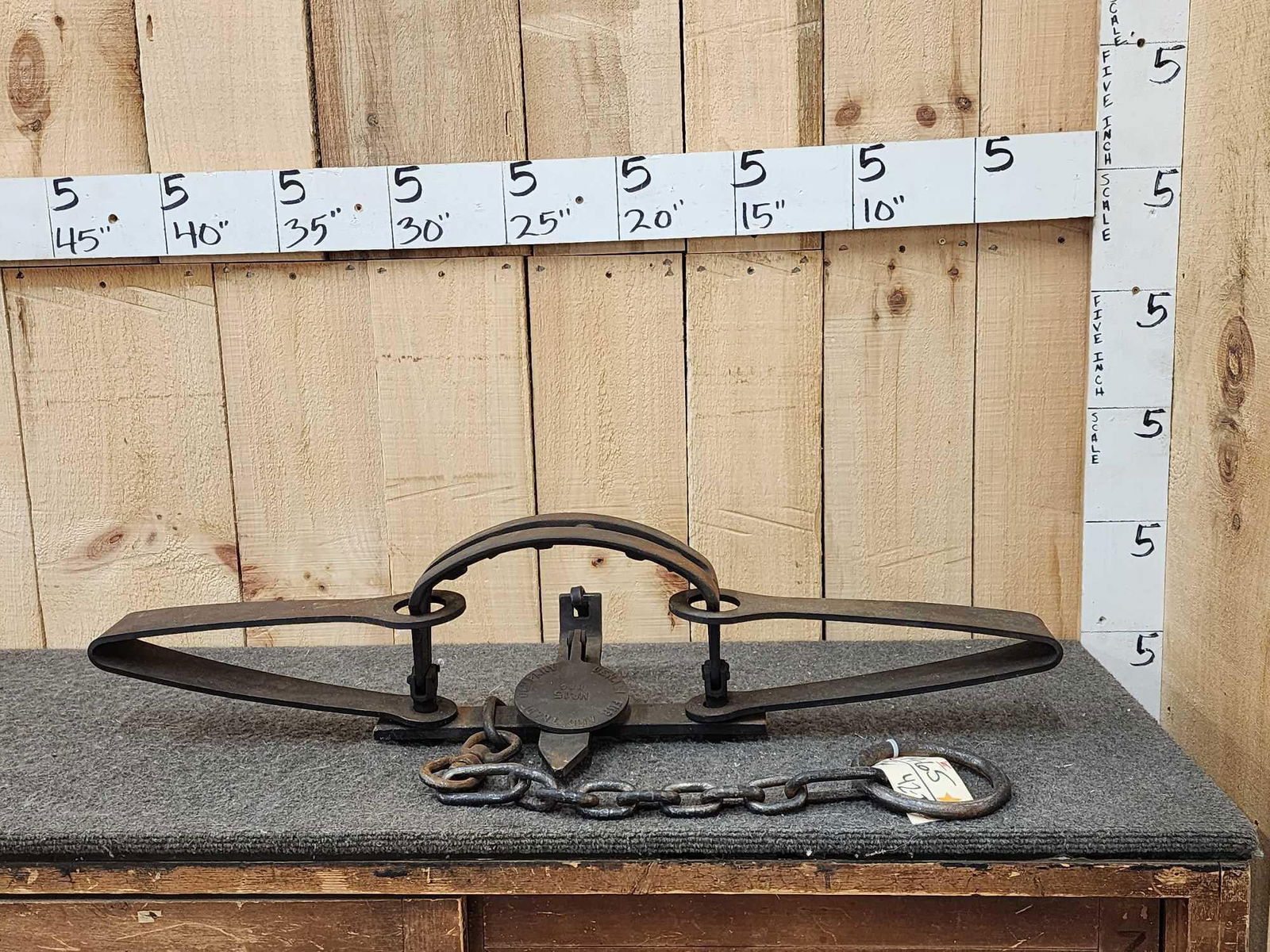 Denali Fur & Trade Company #15 Bear Trap (1 of 4)