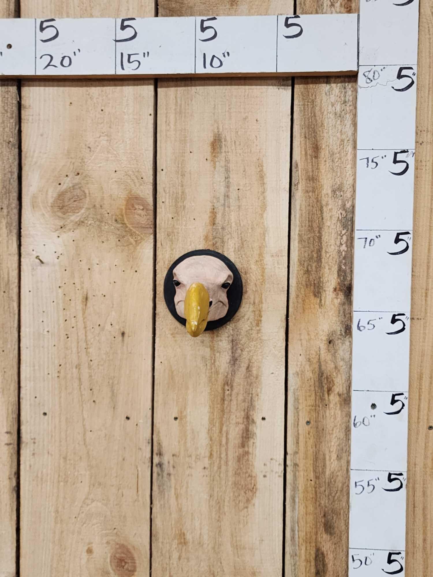 Reproduction Dodo Bird Head Taxidermy (1 of 3)