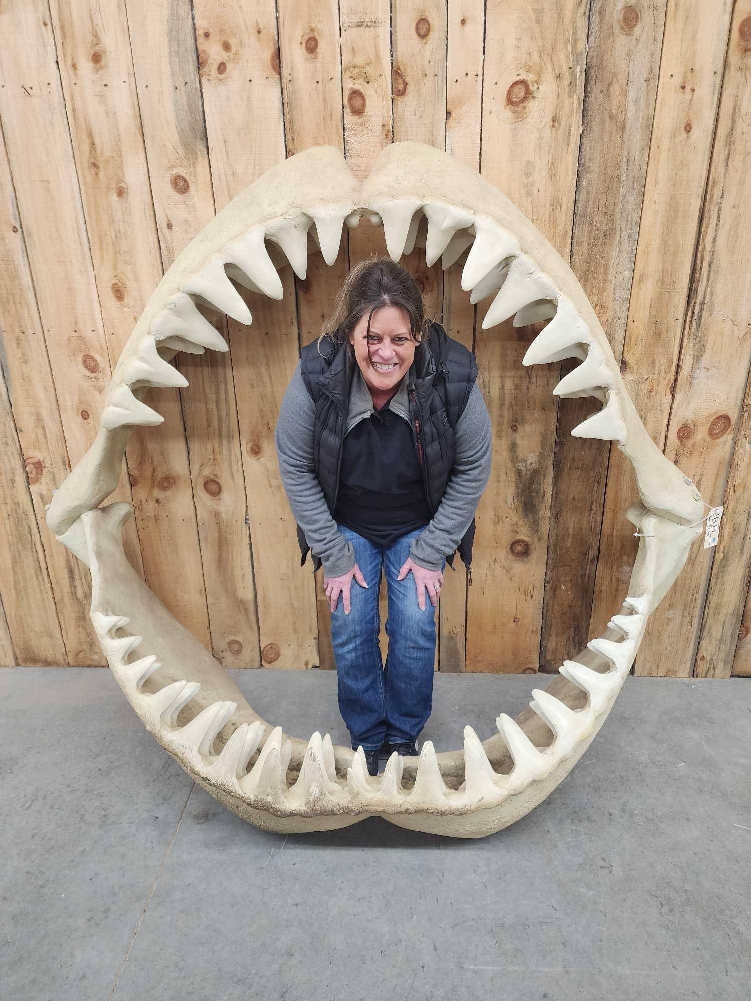 Huge Reproduction Megalodon Shark Jaws Taxidermy (1 of 5)