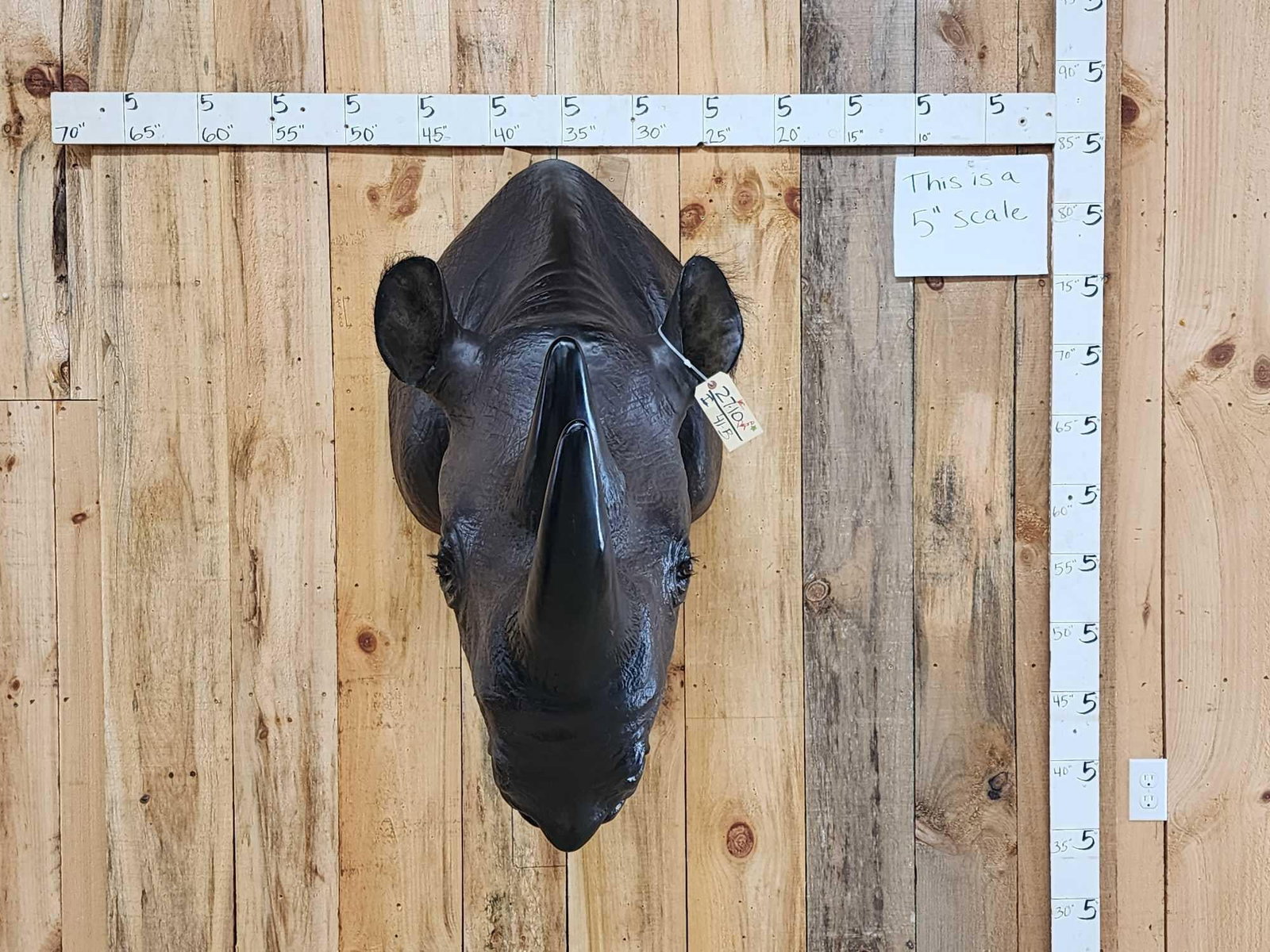 Reproduction Black Rhinoceros Shoulder Mount Taxidermy (1 of 4)