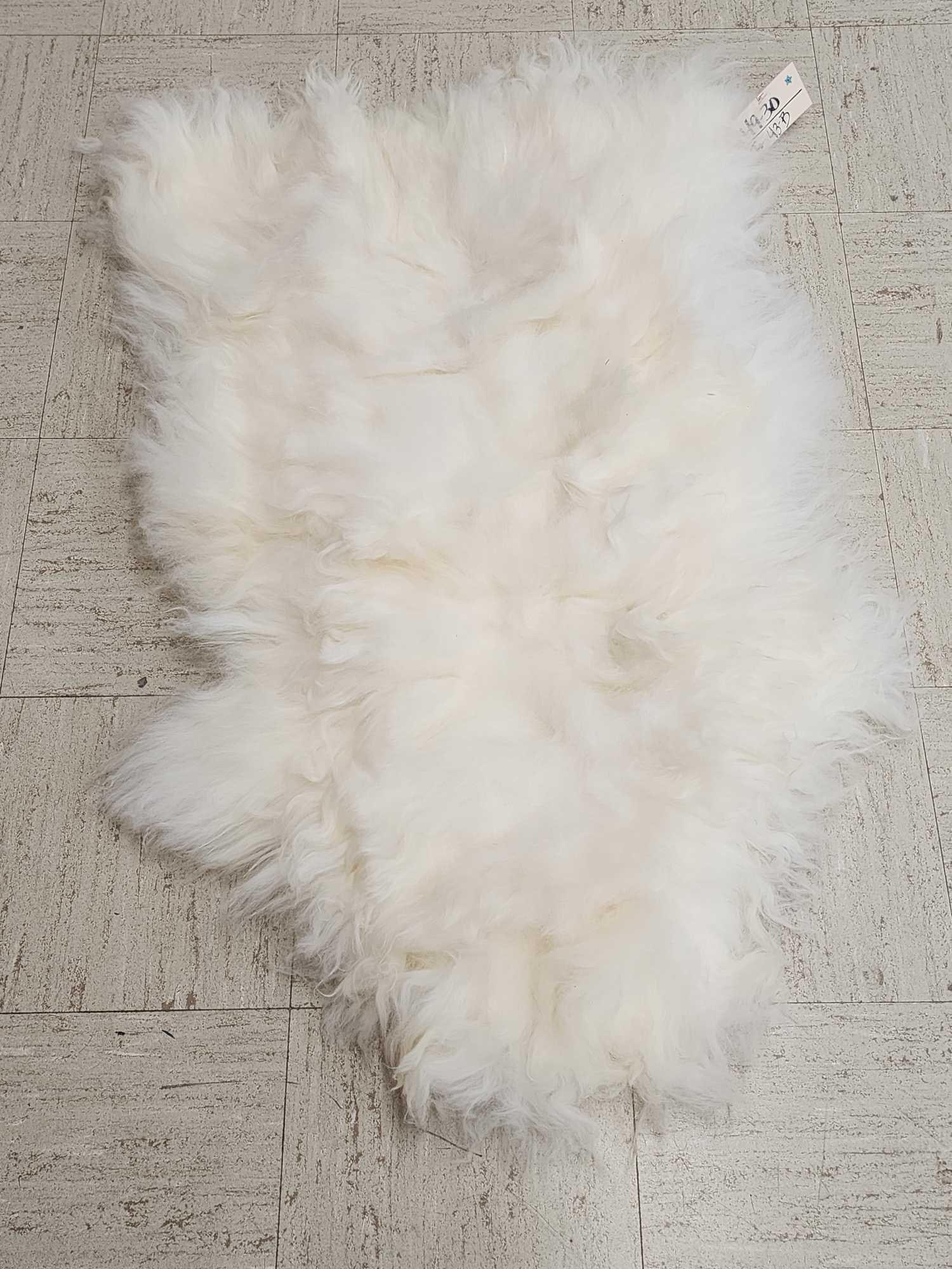 Soft Tanned Sheep Skin Taxidermy (1 of 2)