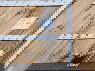 5x5 Elk Antlers On Skull Plate