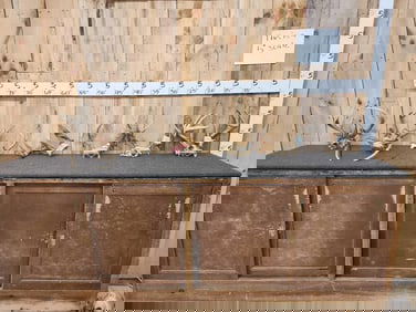 8 Sets Of Whitetail Antlers On Skull Plate