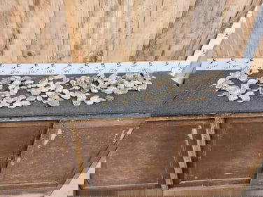 17.5 Lbs Of Whitetail Antler Burrs