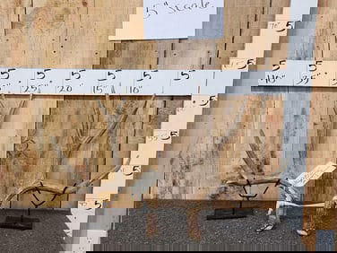 4x5 Mule Deer Shed Antlers