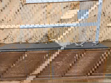 Group Of 6 Mule Deer Shed Antlers