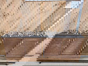 24 Lbs Of Whitetail Antlers Cut Below The Burr