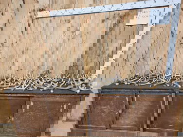 24.4 Lbs Of Whitetail Antlers