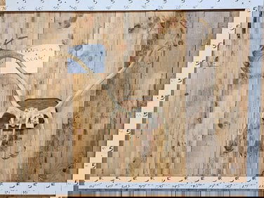 Caribou Antlers On Plaque