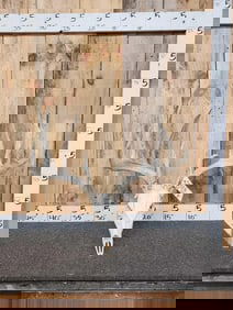 232" Whitetail Antlers On Skull