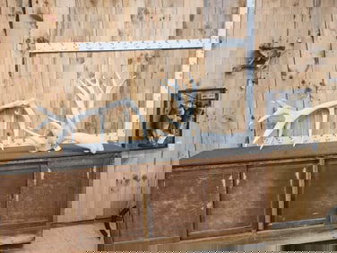 Giant 26 Lbs Set Of Elk Cut Off Antlers