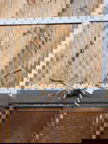 6x6 Elk Antlers On Skull Plate