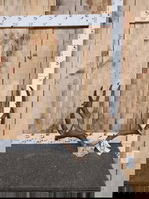 Heavy Mass 180 Class 6x5 Mule Deer Antlers On Skull Plate