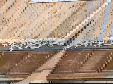 23.4 Lbs Of Whitetail Shed Antlers