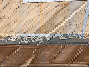 17.4 Lbs Of Whitetail Shed Antlers