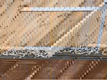 19.8 Lbs Of Whitetail Shed Antlers