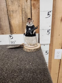 Tactical Rat Full Body Taxidermy Mount