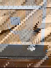 MONSTER American Bison Buffalo Skull Taxidermy