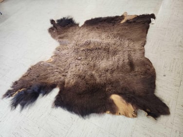 American Bison Buffalo Soft Tanned Robe Taxidermy