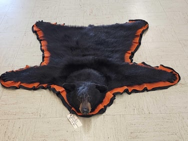 Black Bear Rug Taxidermy