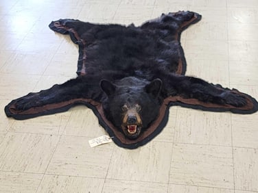 Black Bear Rug Taxidermy