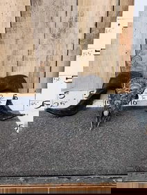 Hand Carved Ram Sheep Skull Taxidermy