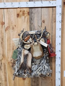 Whitetail Deer Pack Out Backpack Taxidermy Mount