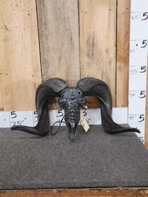 Hand Carved Ram Sheep Skull Taxidermy