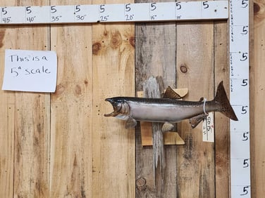 24" Steelhead Real Skin Fish Taxidermy