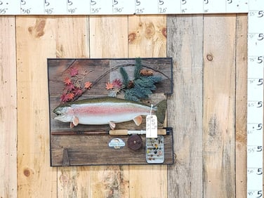 24" Rainbow Trout Real Skin Fish Taxidermy