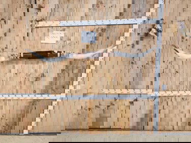 86" Mounted Texas Longhorns Taxidermy