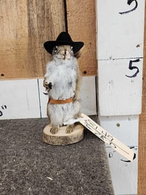Sheriff Squirrel Taxidermy Mount