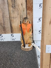 Hunting Squirrel Taxidermy Mount