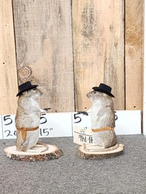 Pair Of Gunslinger Rats In A Gunfight Taxidermy