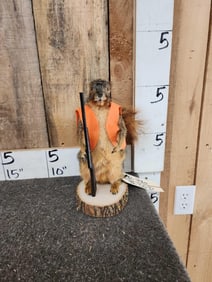Hunting Squirrel Taxidermy Mount