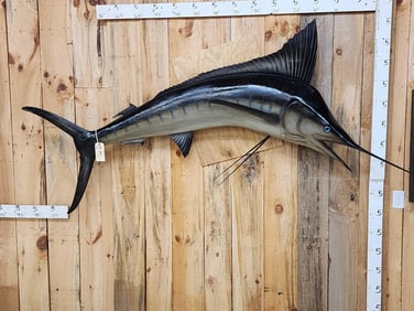 9' Marlin Reproduction Fish Taxidermy