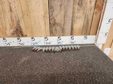 Navajo Sterling Silver Turquoise & Bear Claw Squash Blossom Necklace