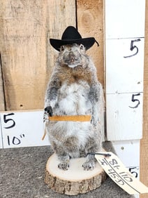 Sheriff Squirrel Taxidermy