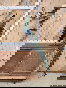 Beautiful Java Green Peacock Full Body Bird Taxidermy