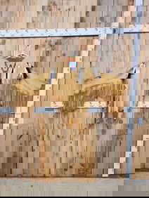 Native American Buckskin Beaded Powwow Shirt