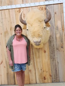 White Buffalo Bison Shoulder Mount Taxidermy