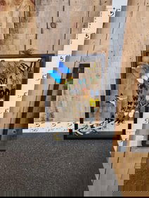 Frame Of 32 Beautiful Butterflies Taxidermy