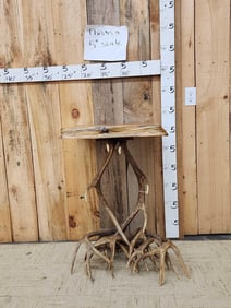 Elk & Deer Antler End Table