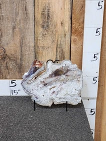 Crazy Lace Agate Slab